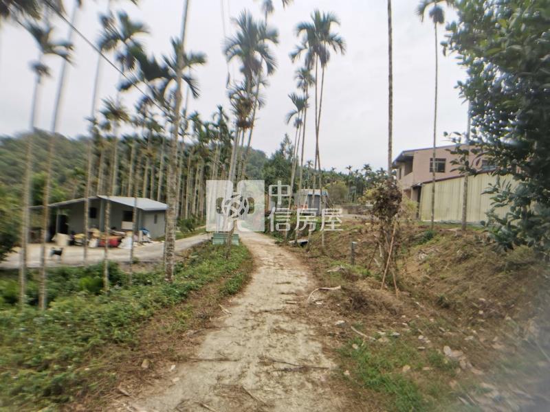 桃米森活建地+農地房屋室內格局與周邊環境