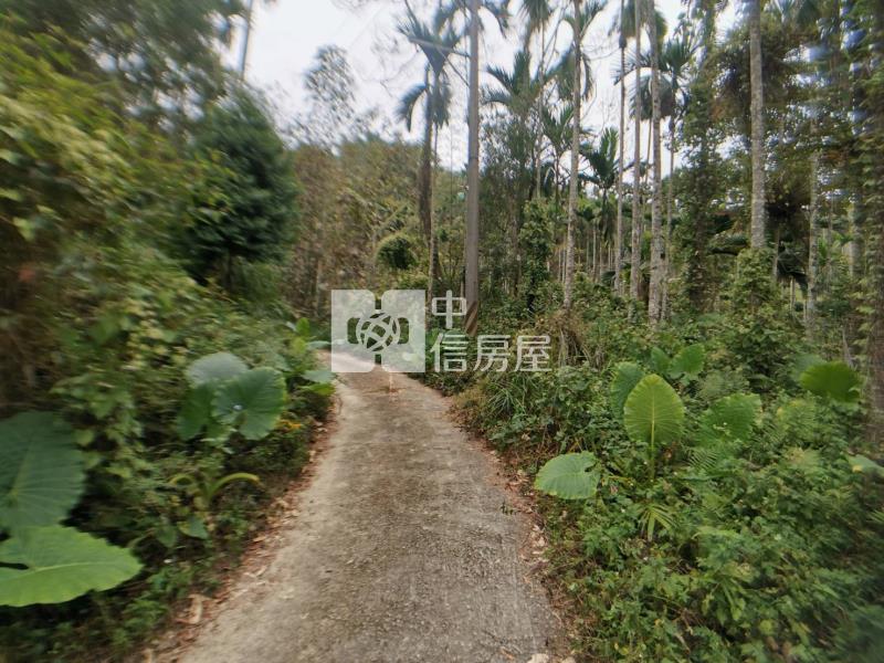 桃米森活建地+農地房屋室內格局與周邊環境