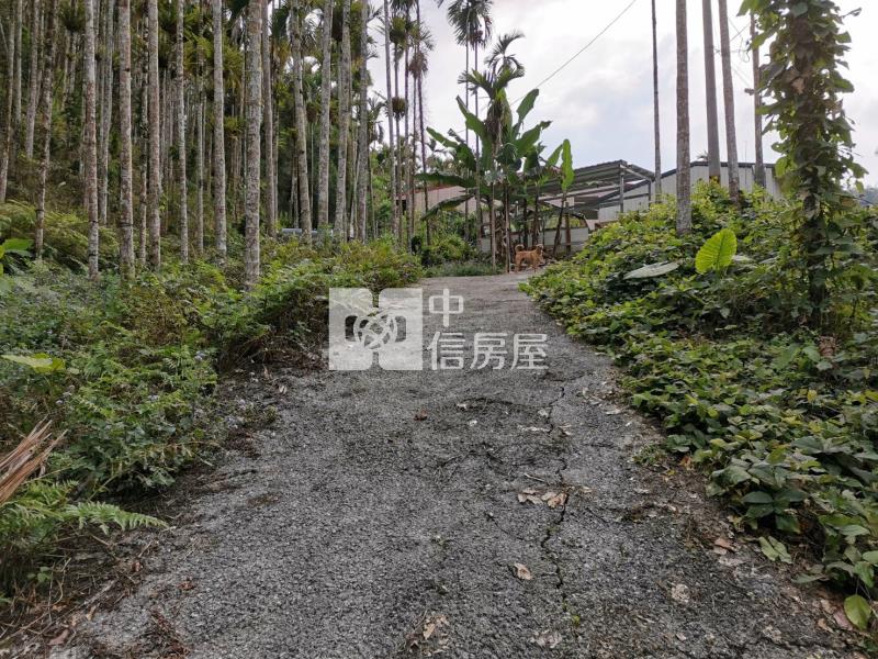 桃米森活建地+農地房屋室內格局與周邊環境