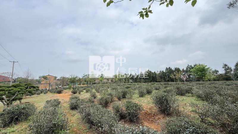 龍潭高揚南路方正一般農地房屋室內格局與周邊環境