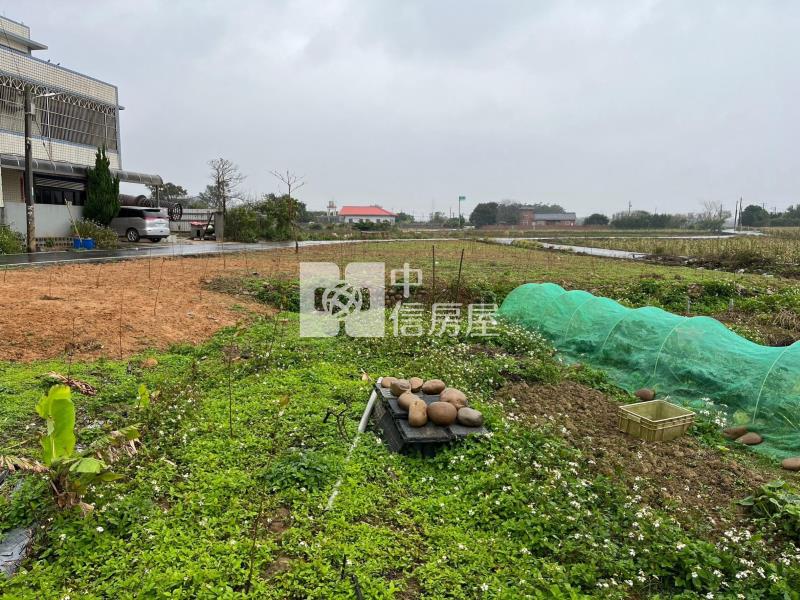 新屋東明國小雙面路農地房屋室內格局與周邊環境
