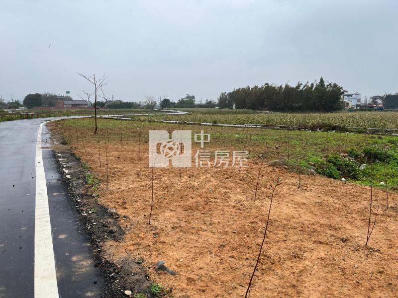 新屋東明國小雙面路農地房屋室內格局與周邊環境