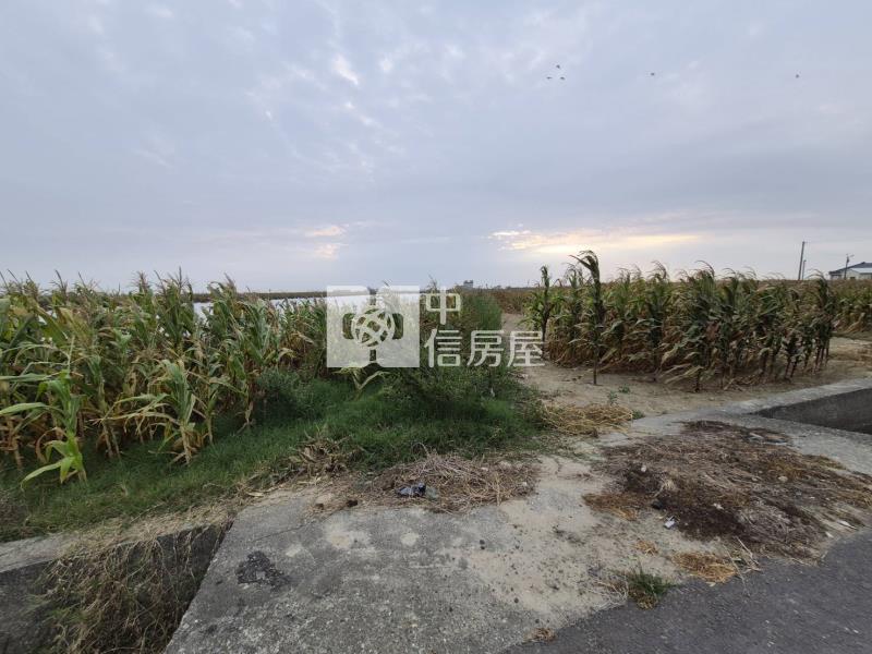 北門渡子頭2.3分一般農地房屋室內格局與周邊環境