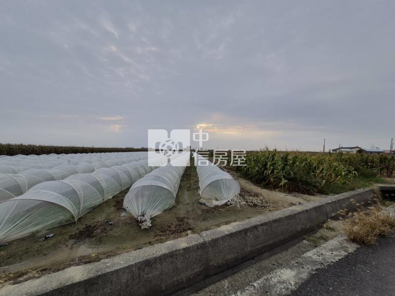 北門渡子頭2.3分一般農地房屋室內格局與周邊環境