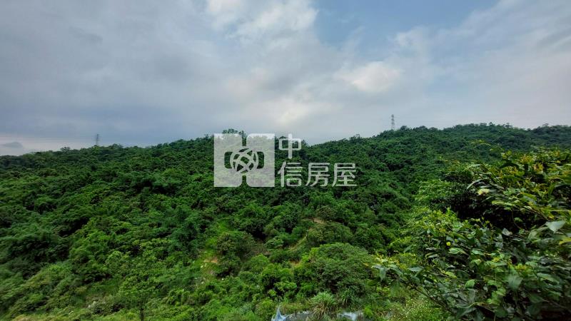 東新街山林美寓房屋室內格局與周邊環境