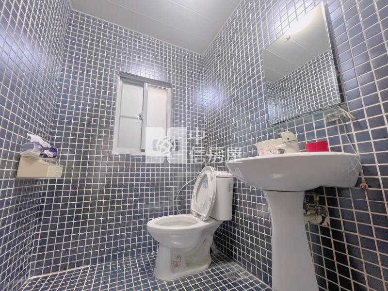 新天鵝堡稀有電梯別墅房屋室內格局與周邊環境