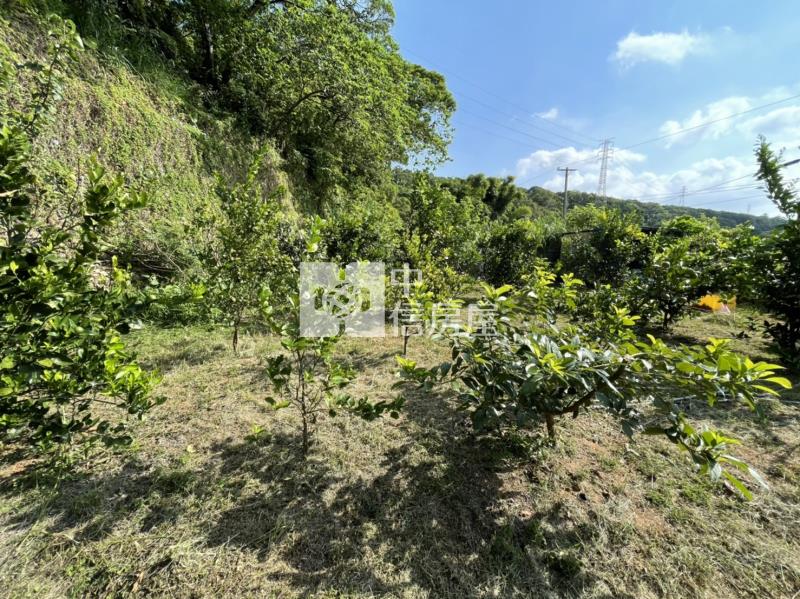 怡仁醫院都內小農地房屋室內格局與周邊環境