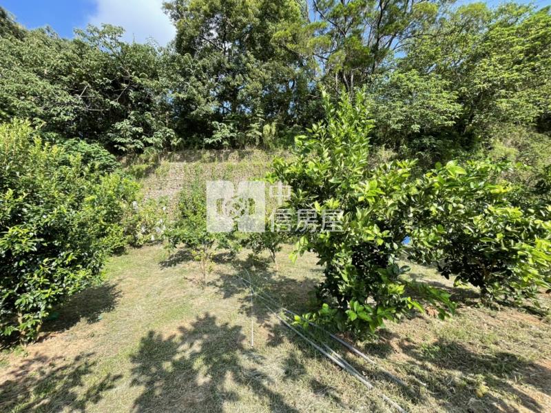 怡仁醫院都內小農地房屋室內格局與周邊環境