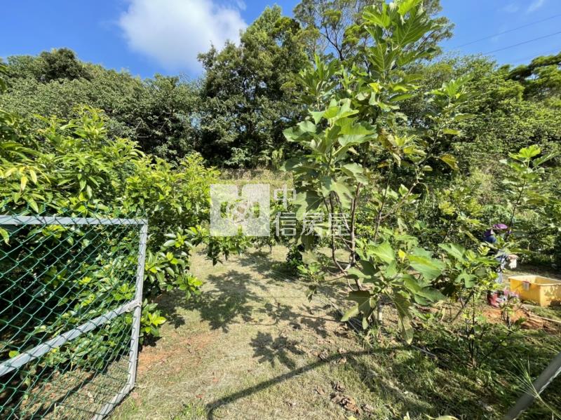 怡仁醫院都內小農地房屋室內格局與周邊環境