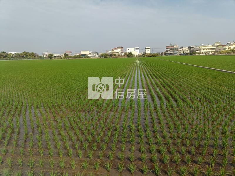 斗六大北勢庄邊農地房屋室內格局與周邊環境