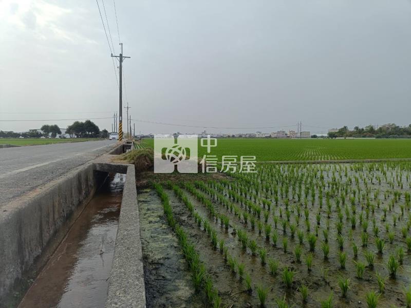 斗六大北勢庄邊農地房屋室內格局與周邊環境