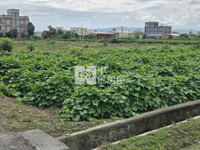 吉安福興都內農地房屋室內格局與周邊環境