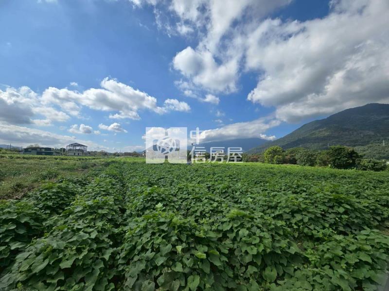 吉安福興都內農地房屋室內格局與周邊環境