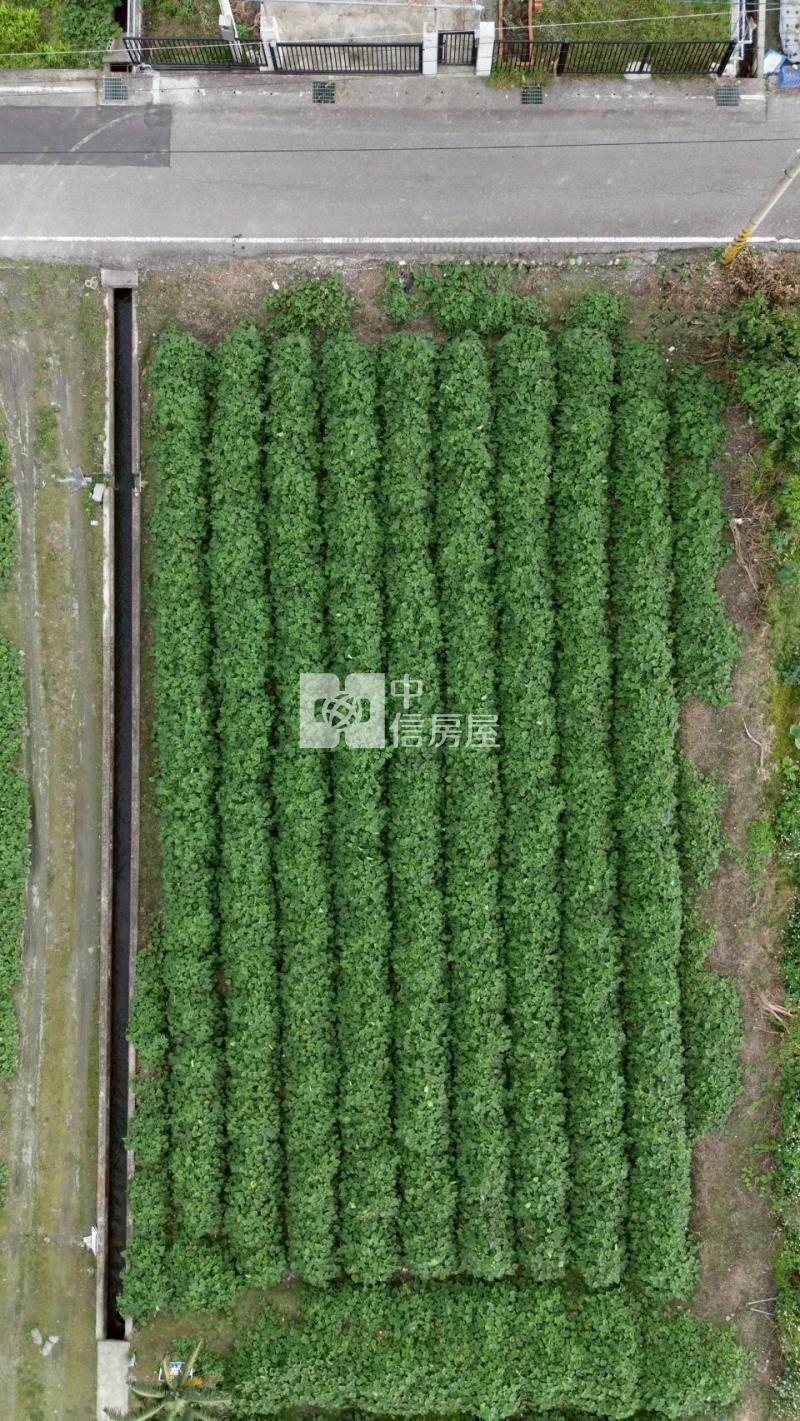 吉安福興都內農地房屋室內格局與周邊環境