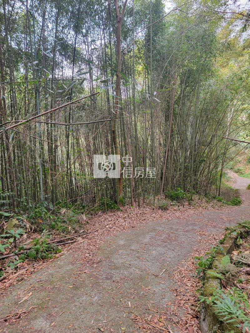 草莓的家鄉【苗栗大湖】美農地房屋室內格局與周邊環境