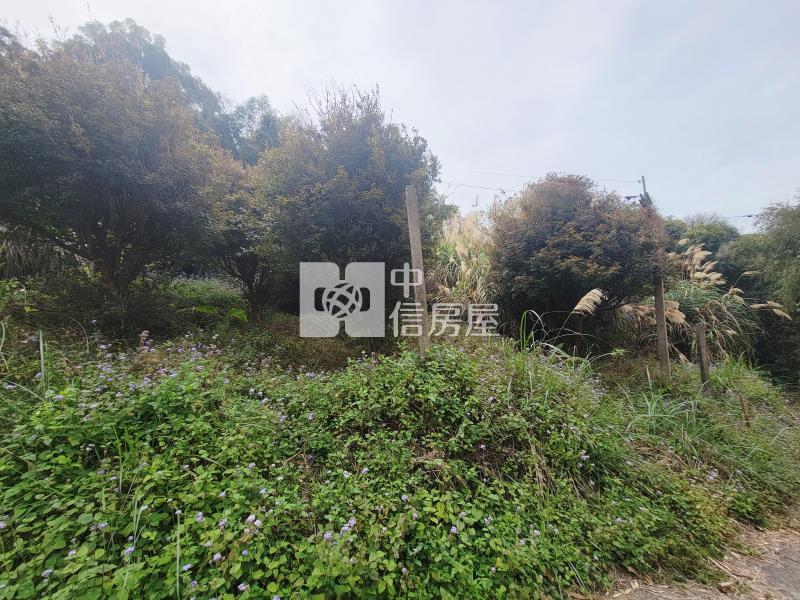 草莓的家鄉【苗栗大湖】美農地房屋室內格局與周邊環境