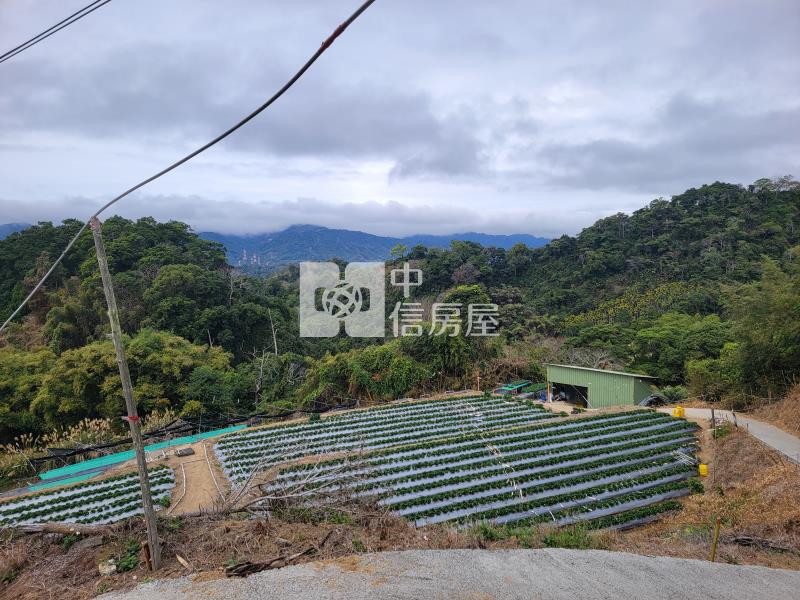 草莓的家鄉【苗栗大湖】美農地房屋室內格局與周邊環境