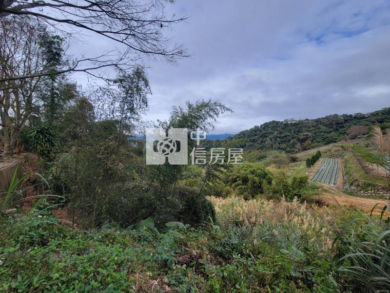 草莓的家鄉【苗栗大湖】美農地房屋室內格局與周邊環境