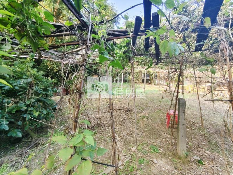 蘆竹六福一路都內農(臨12米路)房屋室內格局與周邊環境