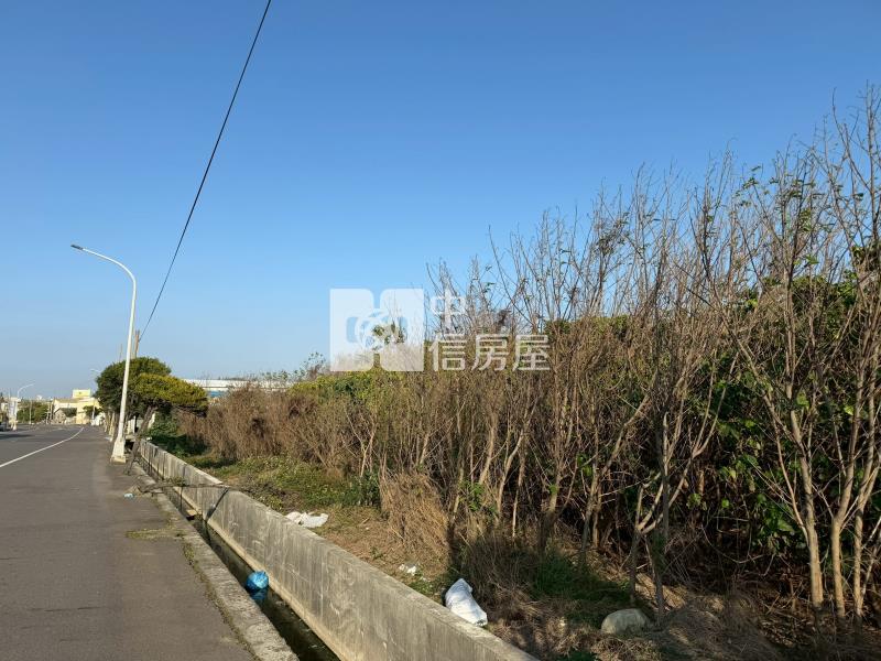 麥寮鎮南農地2房屋室內格局與周邊環境