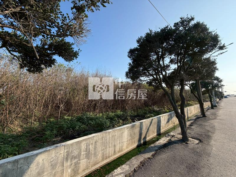 麥寮鎮南農地2房屋室內格局與周邊環境