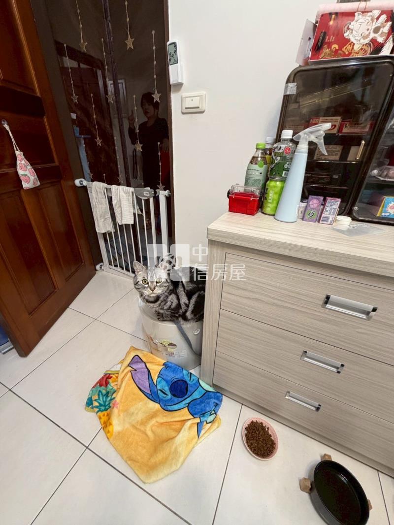 東區震後大面寬雙車別墅房屋室內格局與周邊環境