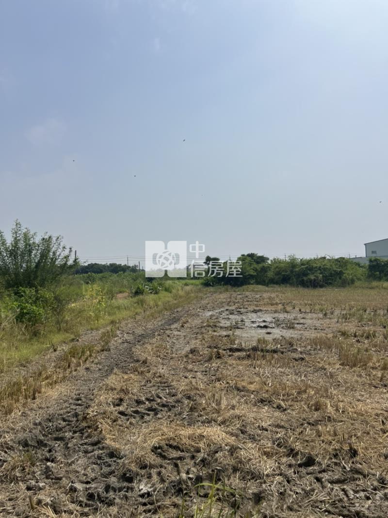 中洲超夯農地房屋室內格局與周邊環境