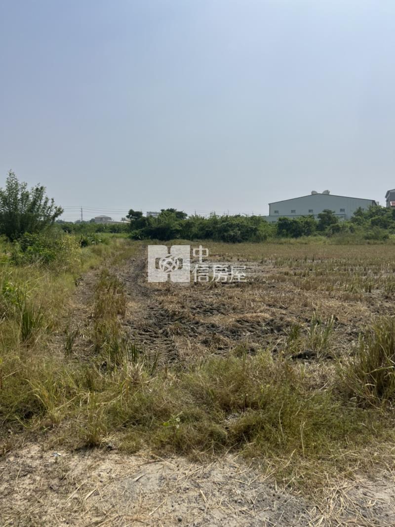 中洲超夯農地房屋室內格局與周邊環境