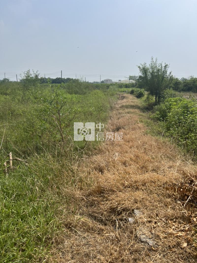 中洲超夯農地房屋室內格局與周邊環境