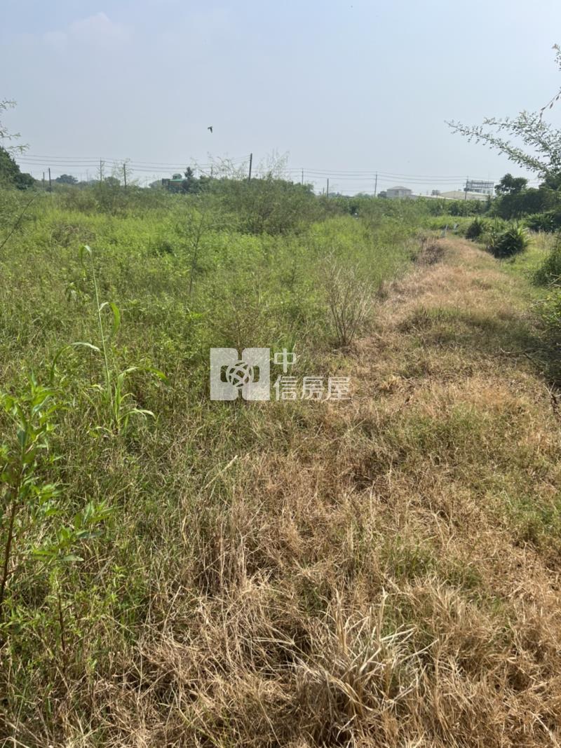 中洲超夯農地房屋室內格局與周邊環境