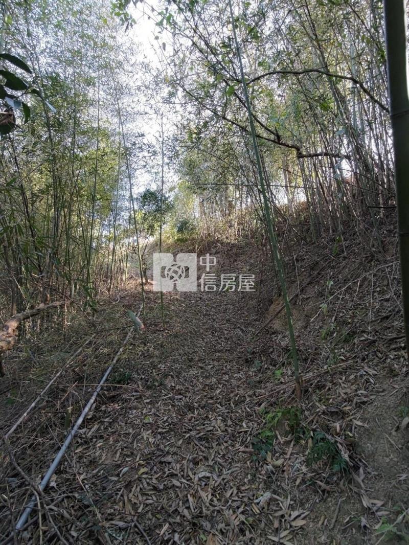 后里觀音景觀平臺低總價農地房屋室內格局與周邊環境