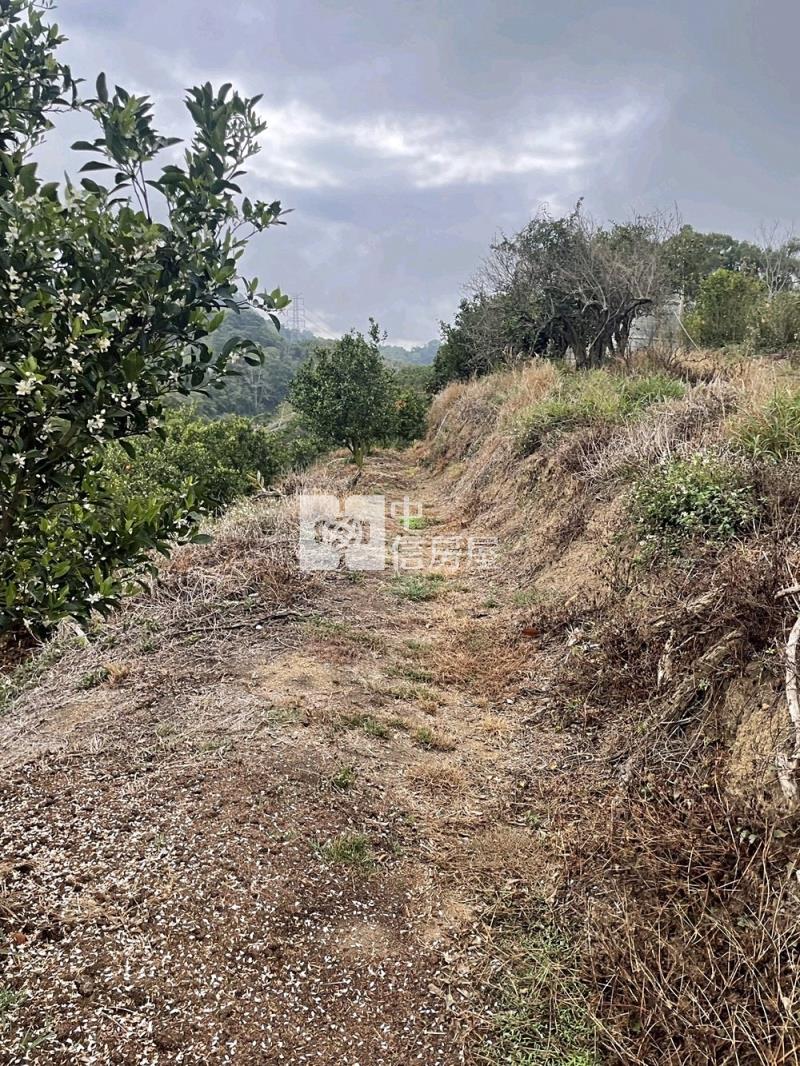 后里觀音景觀平臺低總價農地房屋室內格局與周邊環境