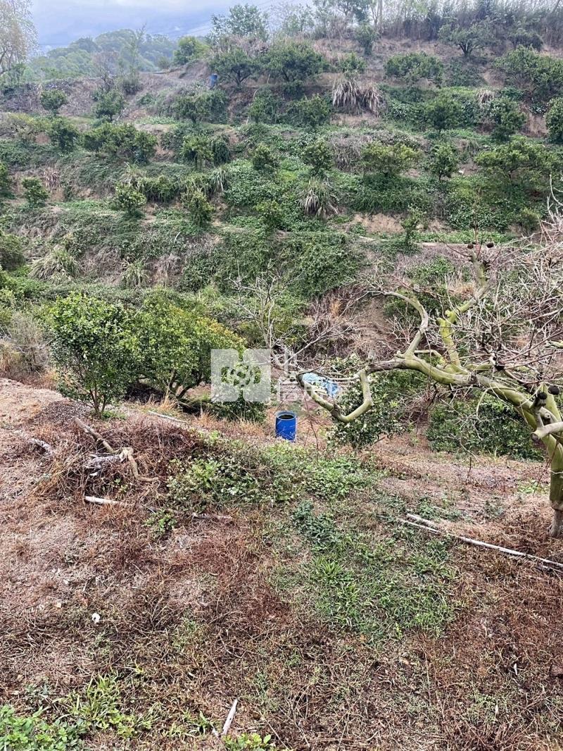 后里觀音景觀平臺低總價農地房屋室內格局與周邊環境