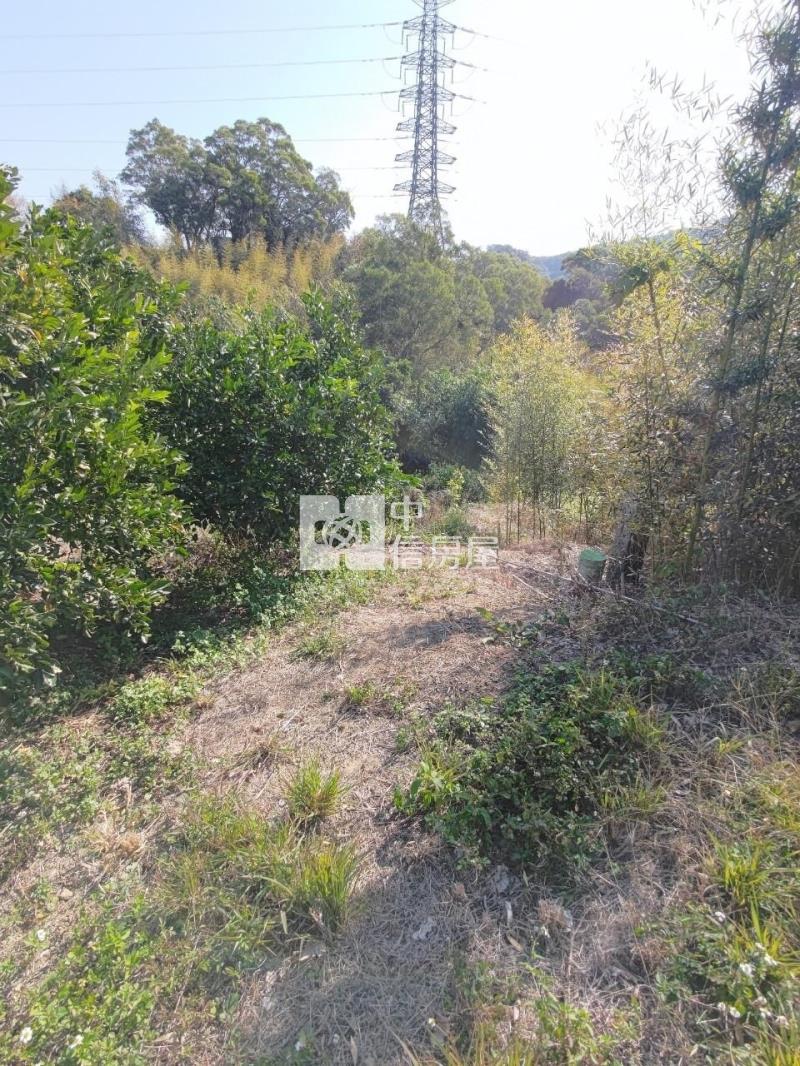 后里觀音景觀平臺低總價農地房屋室內格局與周邊環境