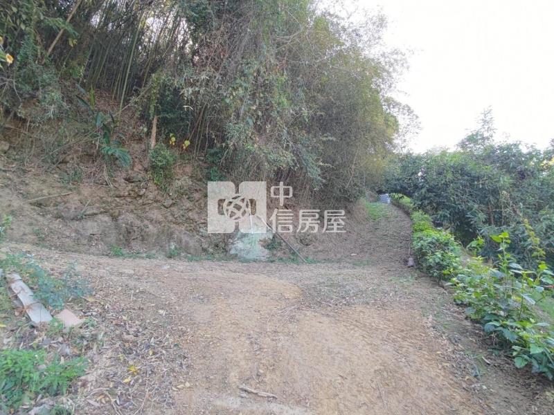 后里觀音景觀平臺低總價農地房屋室內格局與周邊環境