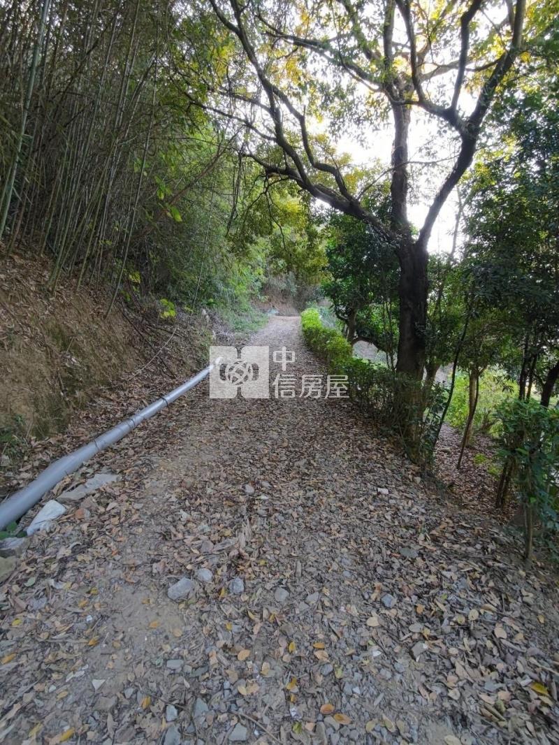 后里觀音景觀平臺低總價農地房屋室內格局與周邊環境