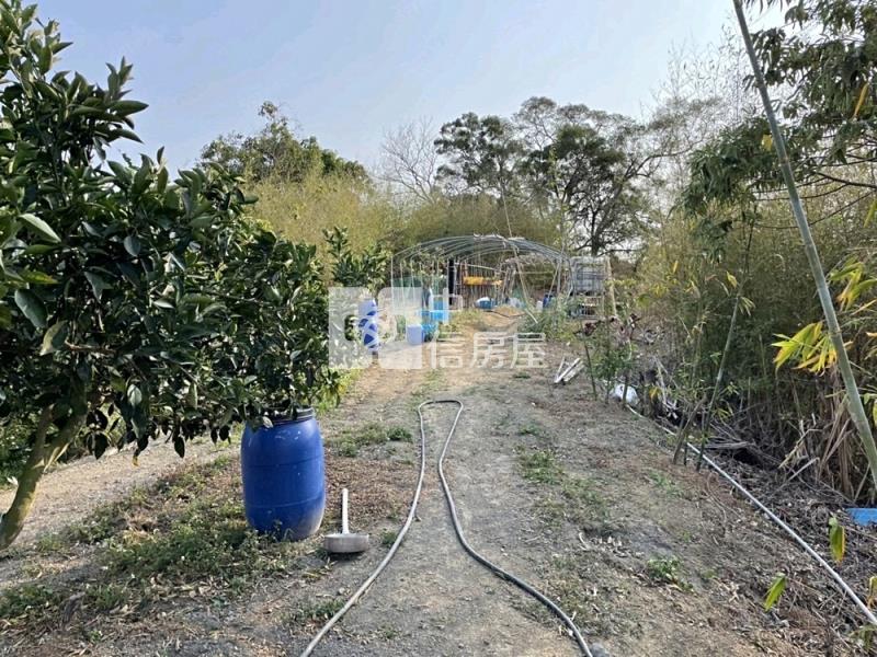 后里觀音景觀平臺低總價農地房屋室內格局與周邊環境