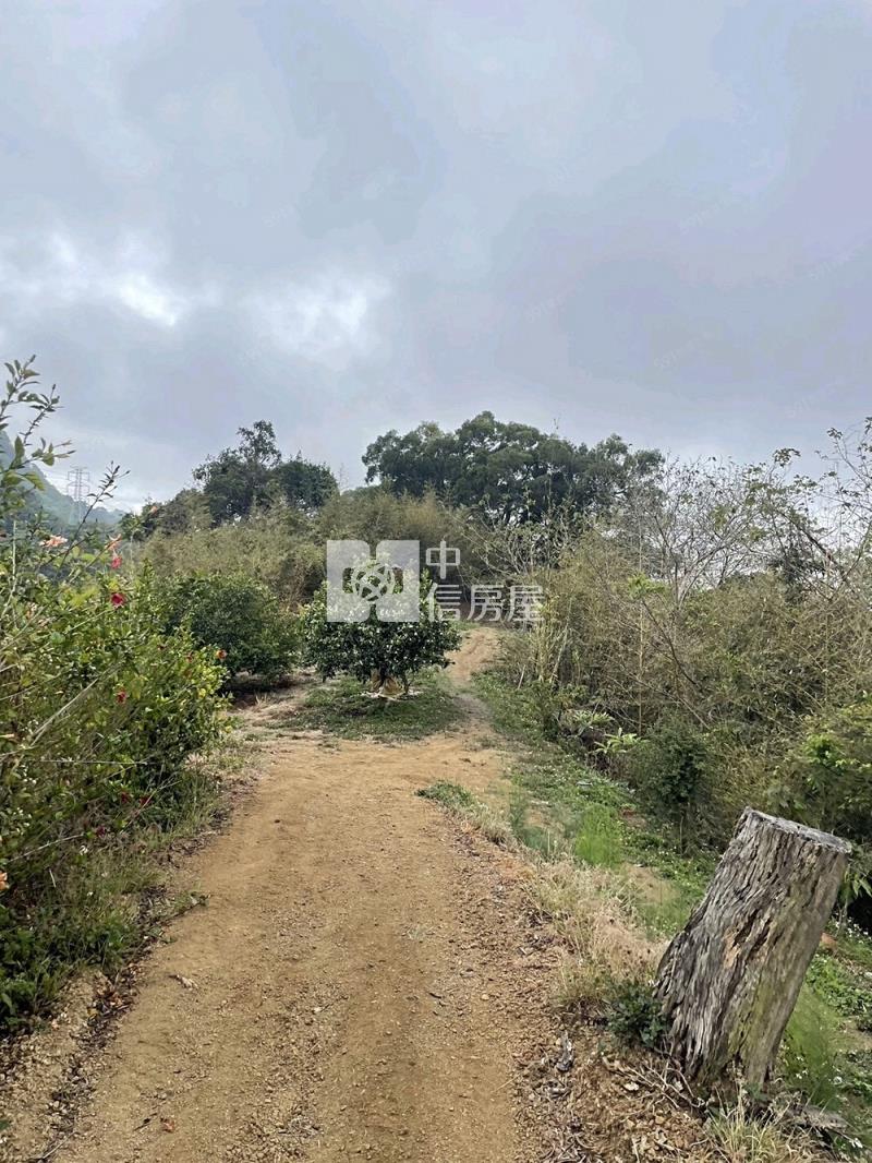 后里觀音景觀平臺低總價農地房屋室內格局與周邊環境