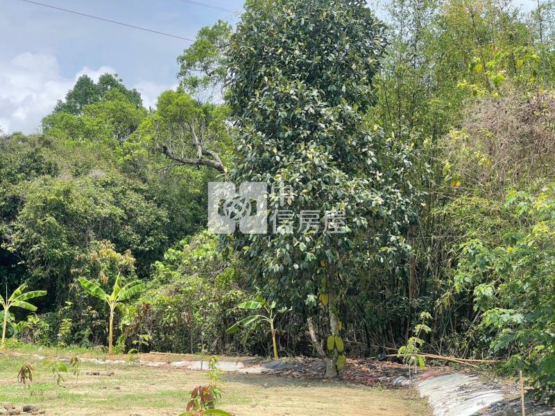 近龜丹溫泉有水電平坦農地房屋室內格局與周邊環境