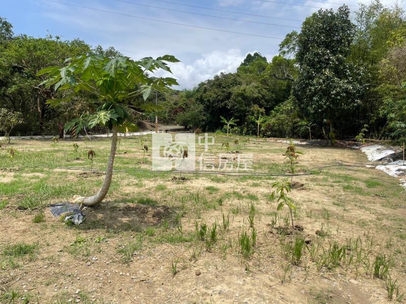 近龜丹溫泉有水電平坦農地房屋室內格局與周邊環境