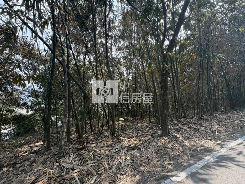 南投竹山保育地房屋室內格局與周邊環境