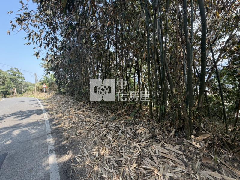 南投竹山保育地房屋室內格局與周邊環境