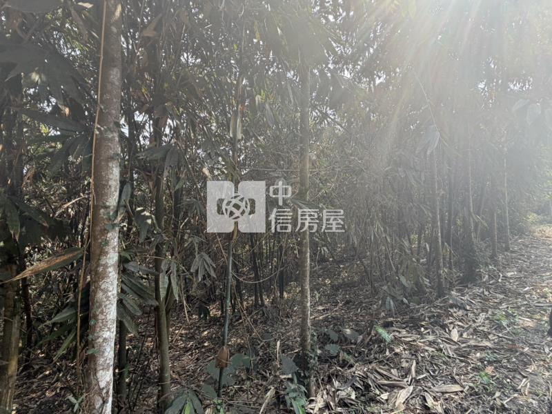 南投竹山保育地房屋室內格局與周邊環境
