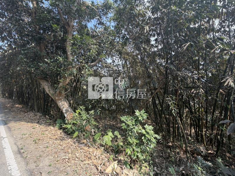 南投竹山保育地房屋室內格局與周邊環境