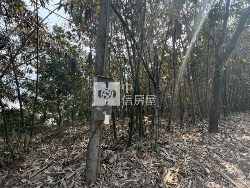 南投竹山保育地房屋室內格局與周邊環境