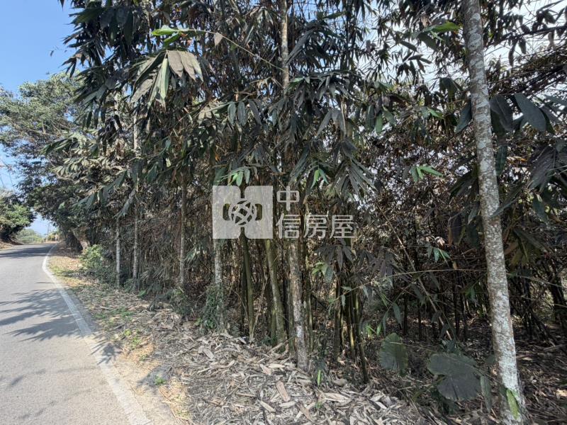 南投竹山保育地房屋室內格局與周邊環境