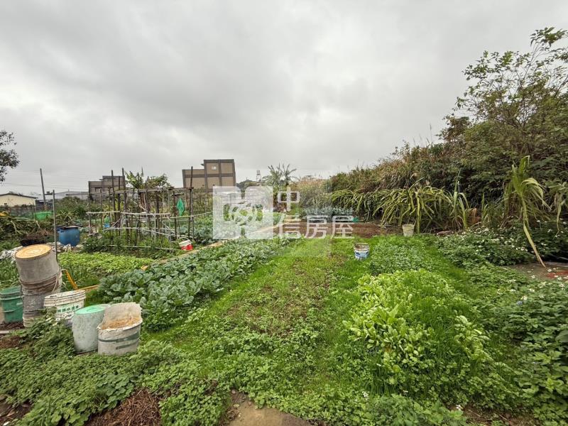 【玖禾】龍潭八德段-森活景觀農地房屋室內格局與周邊環境