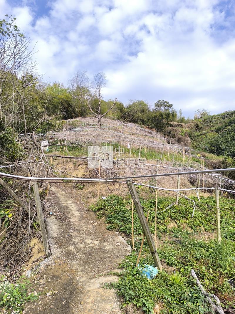 東勢區石圍墻山坡地房屋室內格局與周邊環境