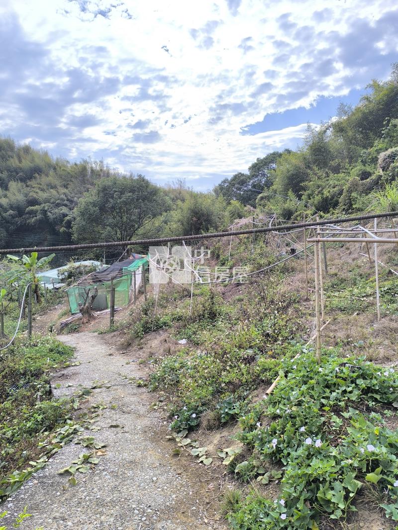 東勢區石圍墻山坡地房屋室內格局與周邊環境