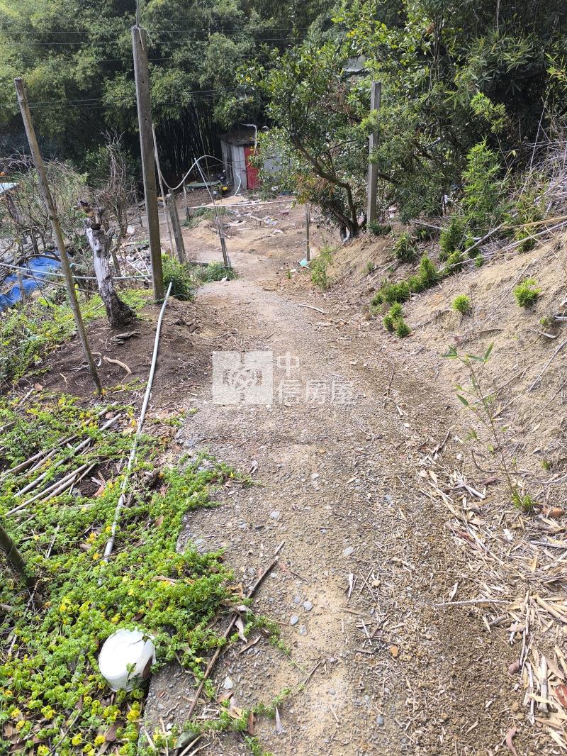 東勢區石圍墻山坡地房屋室內格局與周邊環境